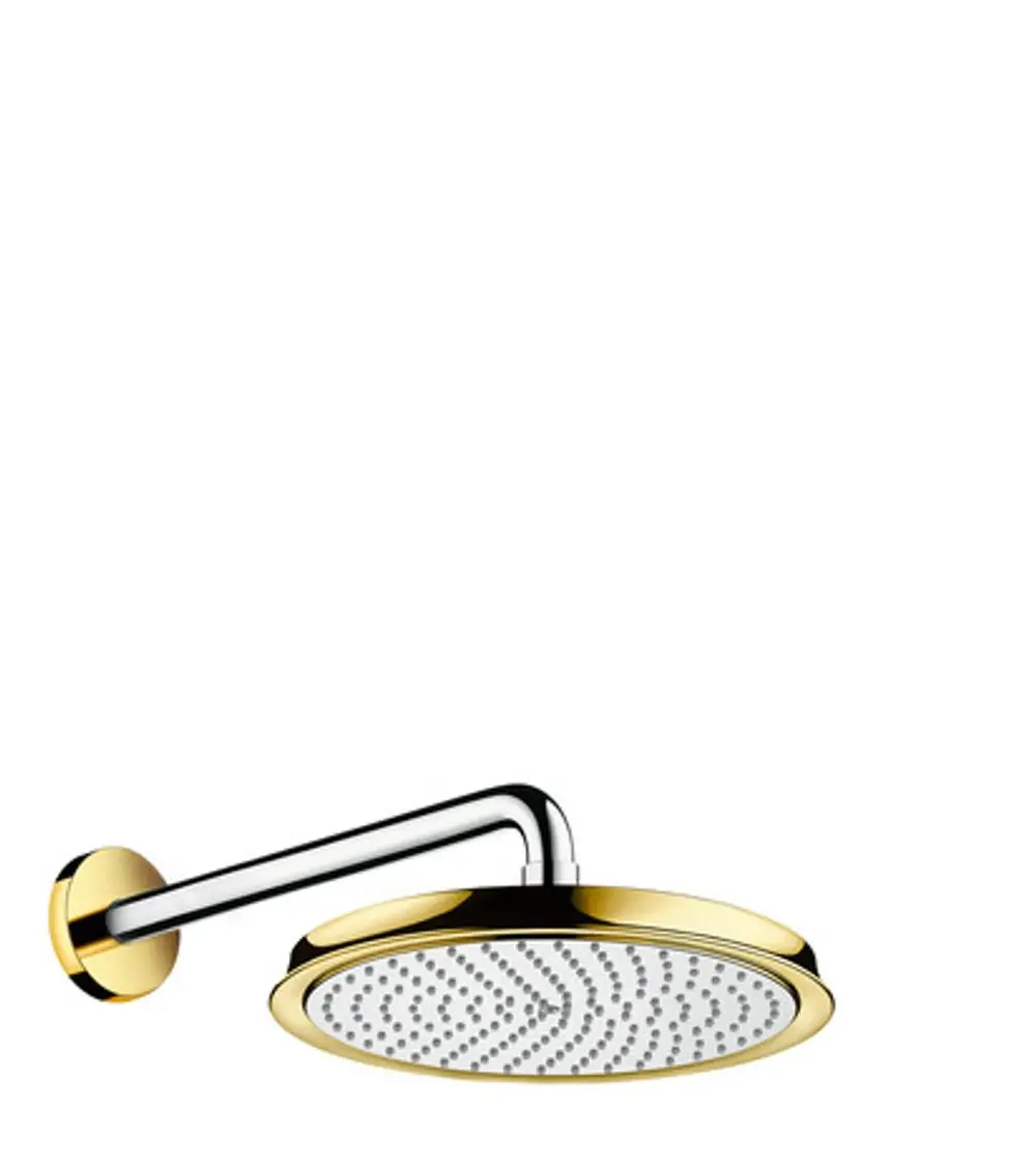 Kopfbrause in Chrom- und Goldoptik von Hansgrohe mit rundem, flachem Design und Brausearm, montiert an der Wand. Ideal für Duschanlagen.
